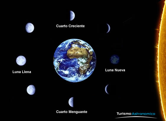 Fases de la Luna Fases de la Luna
