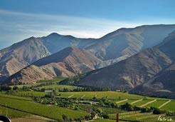 Paihuano