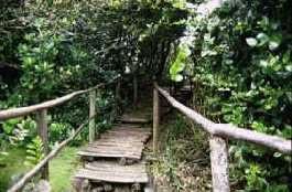 Fray Jorge National Park