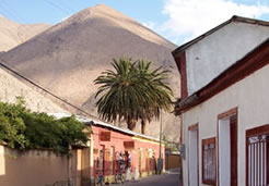 Pisco Elqui