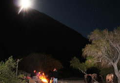 Astronomical Travel Packages