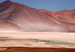 Atacama Salt Bank