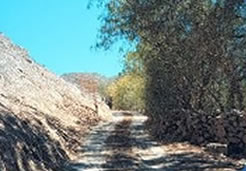 San Isidro